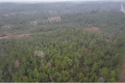 3 Rec Road 255, Colmesneil, TX 75938 - Photo 16