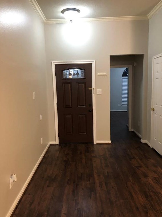 21051 Southern Colony Ct, Katy, TX 77449