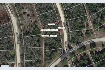 Lot 16 Blackgum, Normangee, TX 77871 - Photo 2