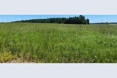 Tbd Cr 4025, Crockett, TX 75835 - Photo 1