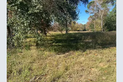 Tbd S Houston Avenue, Livingston, TX 77351 - Photo 8