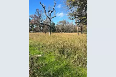 Tbd S Houston Avenue, Livingston, TX 77351 - Photo 6