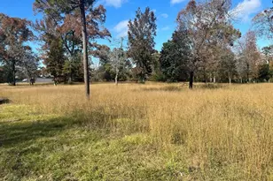 Tbd S Houston Ave, Livingston, TX 77351 - Photo 1