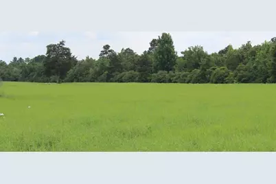 000 Private Road 1310, Centerville, TX 75833 - Photo 8