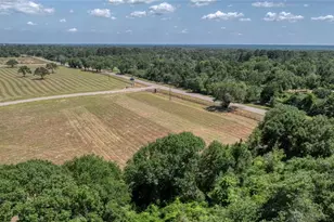 133 Bellwood Lake Ln, Bellville, TX 77418 - Photo 1