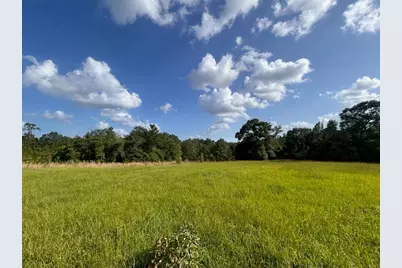 Lot 184 & 185 Hunters Creek, Hillister, TX 77624 - Photo 2