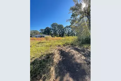 1575 Hwy 96 South, San Augustine, TX 75972 - Photo 8