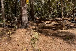 0 Monroe Dr, Livingston, TX 77351 - Photo 1