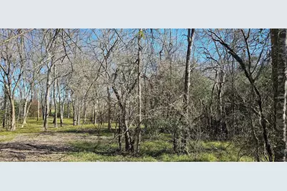 0 Winding Branch, Chappell Hill, TX 77426 - Photo 10