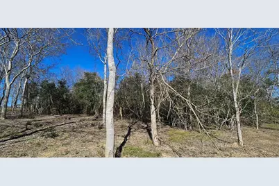 0 Winding Branch, Chappell Hill, TX 77426 - Photo 8