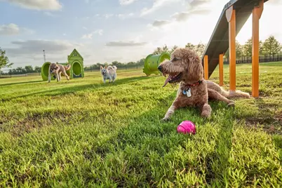 7655 Meadow Mouse Lane, Katy, TX 77493 - Photo 32