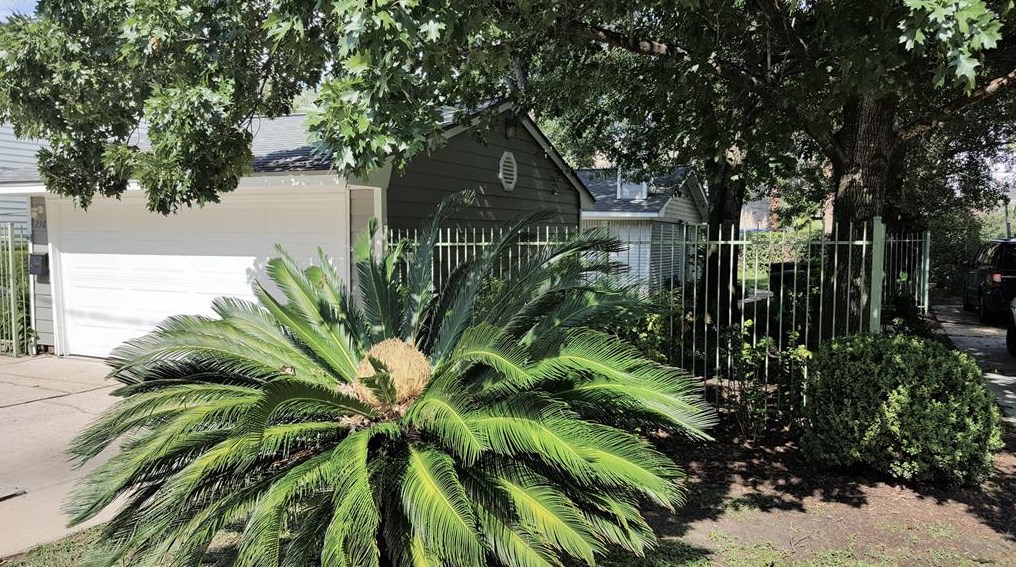 216 Asbury St, Houston, TX 77007