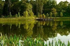 160 Birdsall St #1313, Houston, TX 77007