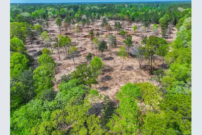 120 Royce Lane, Livingston, TX 77351 - Photo 12