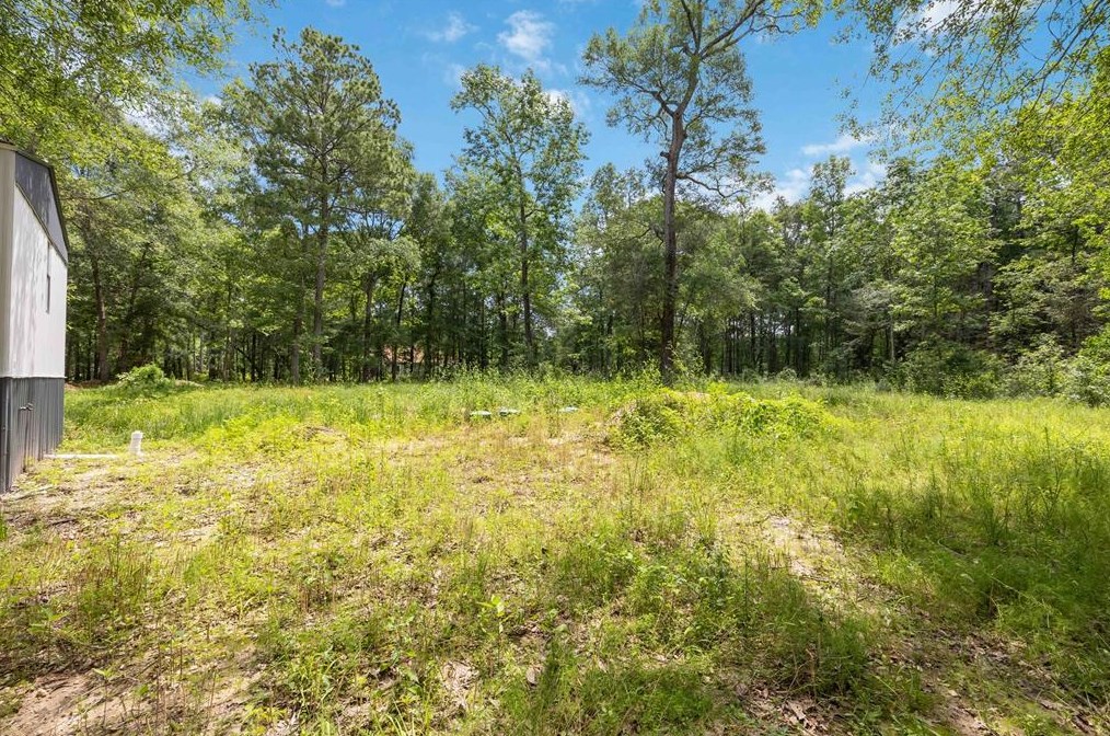 18480 Rayburn Dr, Conroe, TX 77302-6238