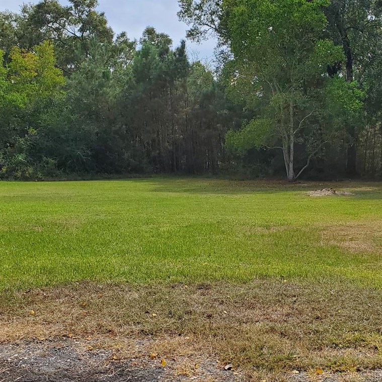 7957 Highway 61, Devers, TX 77538-7065