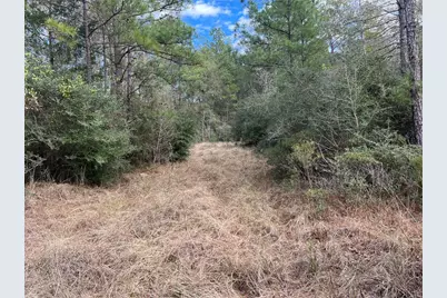 Tbd Highway 59 Loop N, Livingston, TX 77351 - Photo 4