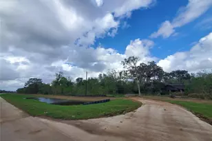 21200 TX-36, Brazoria, TX 77444 - Photo 6