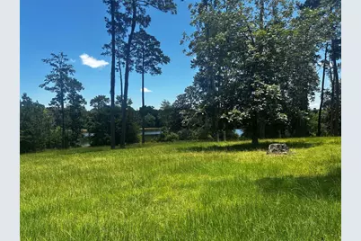 Lot 399 Lakeland Ranch, Hillister, TX 77624 - Photo 6