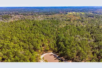 035 Magnolia Ranch Road Road, Onalaska, TX 77360 - Photo 6