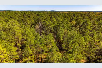 035 Magnolia Ranch Road Road, Onalaska, TX 77360 - Photo 8