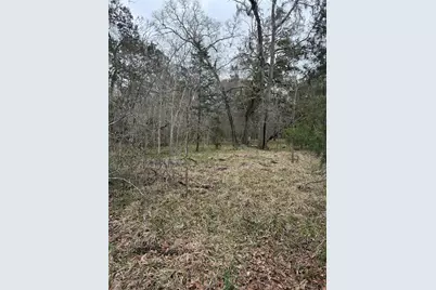 000 Cr-289, Sweeny, TX 77480 - Photo 1