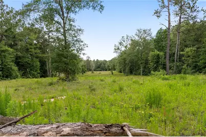 4578 N Duck Creek Road, Cleveland, TX 77328 - Photo 10