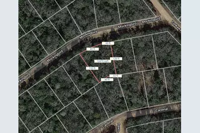 Lot 4 Mockingbird, Normangee, TX 77871 - Photo 2