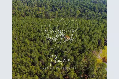 047 Tumbleweed Ranch Road, Onalaska, TX 77360 - Photo 1