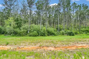15469 Frst Grv Dr, Willis, TX 77378 - Photo 10