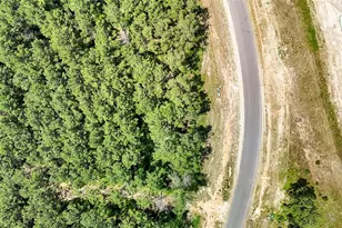 15469 Frst Grv Dr, Willis, TX 77378 - Photo 22