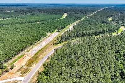 15469 Forest Grove Drive, Willis, TX 77378 - Photo 16