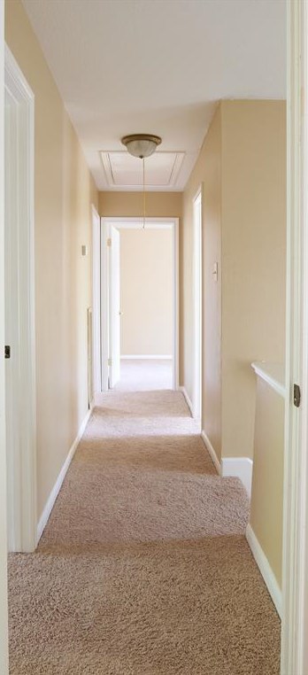 7823 Secretariat Ln, Houston TX  77071-3013 exterior