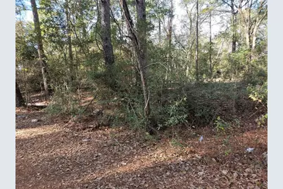 0000 Pinecone Ln Lane, Plantersville, TX 77363 - Photo 4