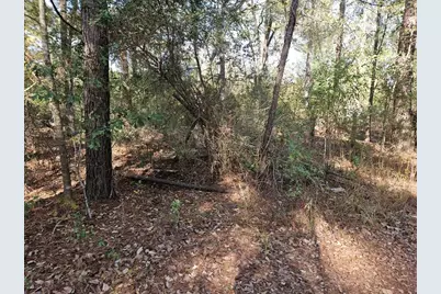 0000 Pinecone Ln Lane, Plantersville, TX 77363 - Photo 6