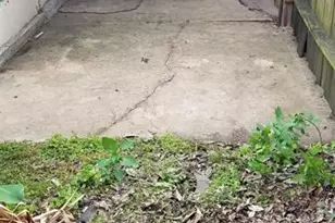 5603 Northridge Dr, Houston, TX 77033 - Photo 12