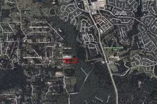 3620 Honea Egypt Rd, Montgomery, TX 77316 - Photo 1