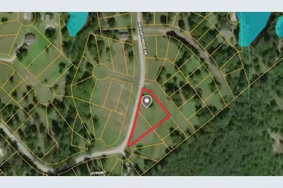 20 Scenic Wood Drive, Coldspring, TX 77331 - Photo 1