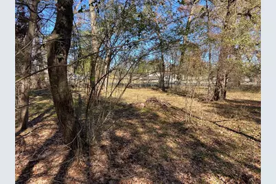 1702 E Bembridge Drive, Spring, TX 77386 - Photo 10