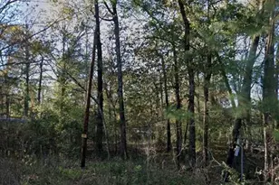 5776 Bonham Ln, Willis, TX 77378 - Photo 1