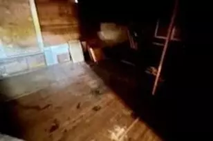 238 Betral St, Houston, TX 77022 - Photo 8