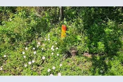 248 Middle Bayou Trail, Angleton, TX 77515 - Photo 18