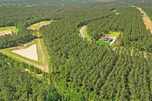 15297 Frst Grv Dr, Willis, TX 77378 - Photo 14