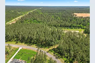 15297 Forest Grove Drive, Willis, TX 77378 - Photo 8