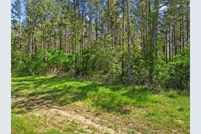 15297 Forest Grove Drive, Willis, TX 77378 - Photo 4