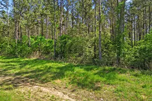 15297 Frst Grv Dr, Willis, TX 77378 - Photo 4