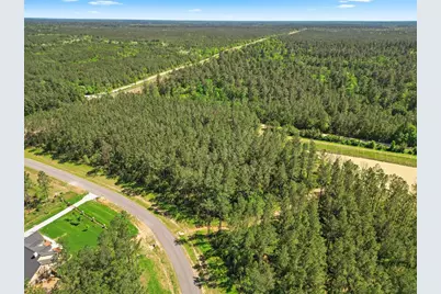 15297 Forest Grove Drive, Willis, TX 77378 - Photo 10