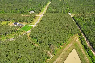 15297 Frst Grv Dr, Willis, TX 77378 - Photo 12