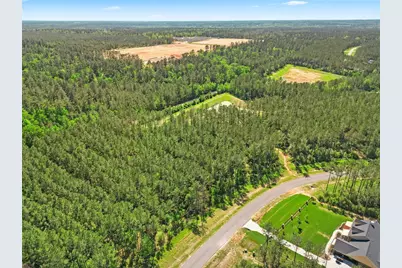 15297 Forest Grove Drive, Willis, TX 77378 - Photo 6