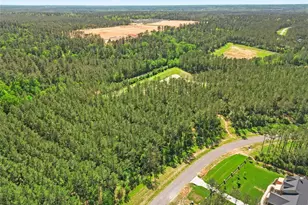 15297 Frst Grv Dr, Willis, TX 77378 - Photo 6